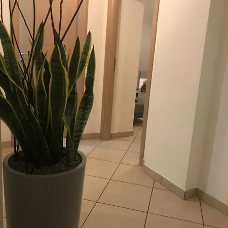 Qm B&B